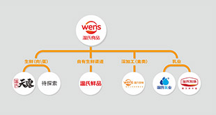 沙巴足球(中国)股份有限公司官网品牌架构